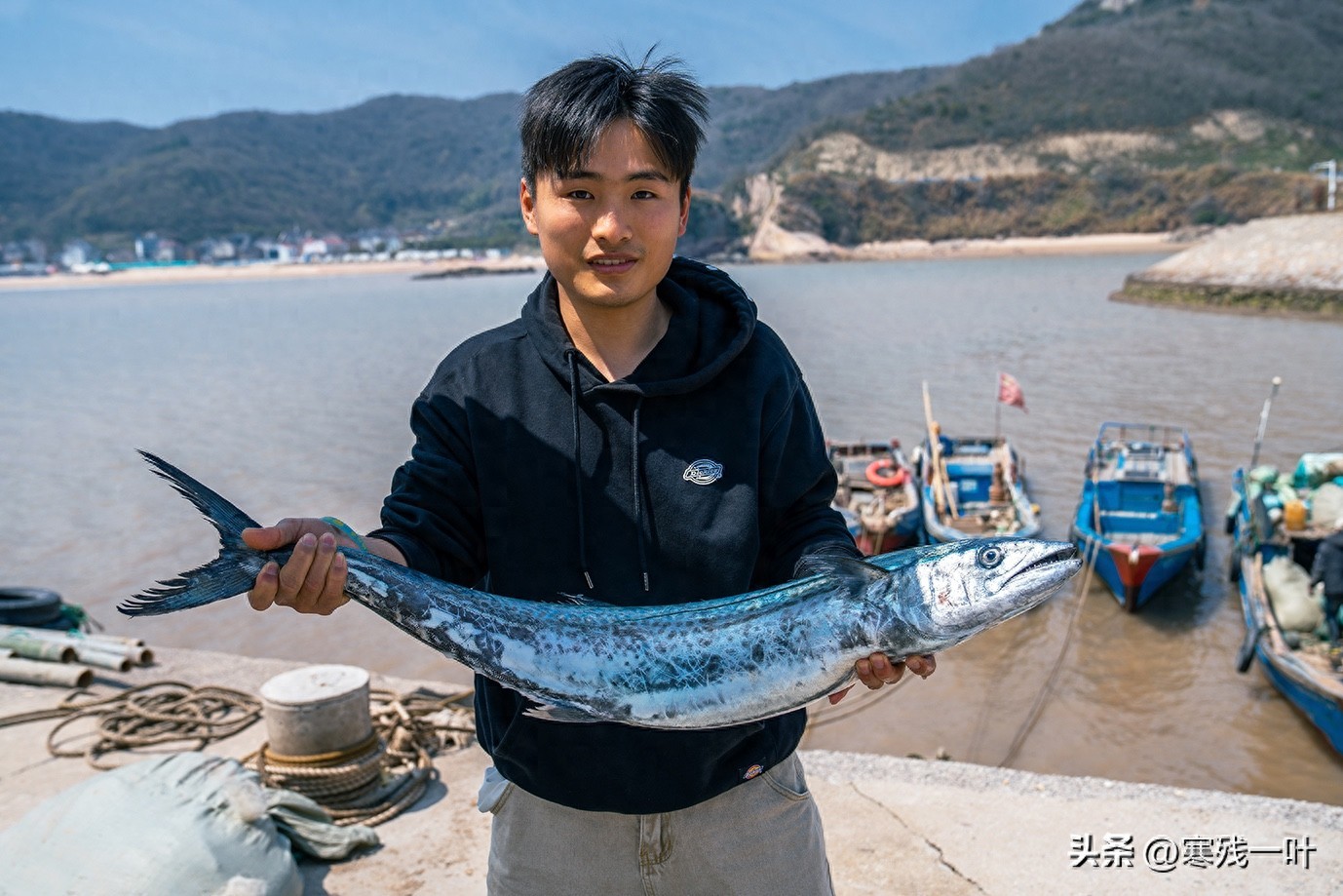 寻找浙江春季时令海鲜:川乌,为何普通的马鲛鱼,卖到一百块一斤(图1) 象山川乌马鲛鱼_清明时节时令海鲜_象山海鲜十八