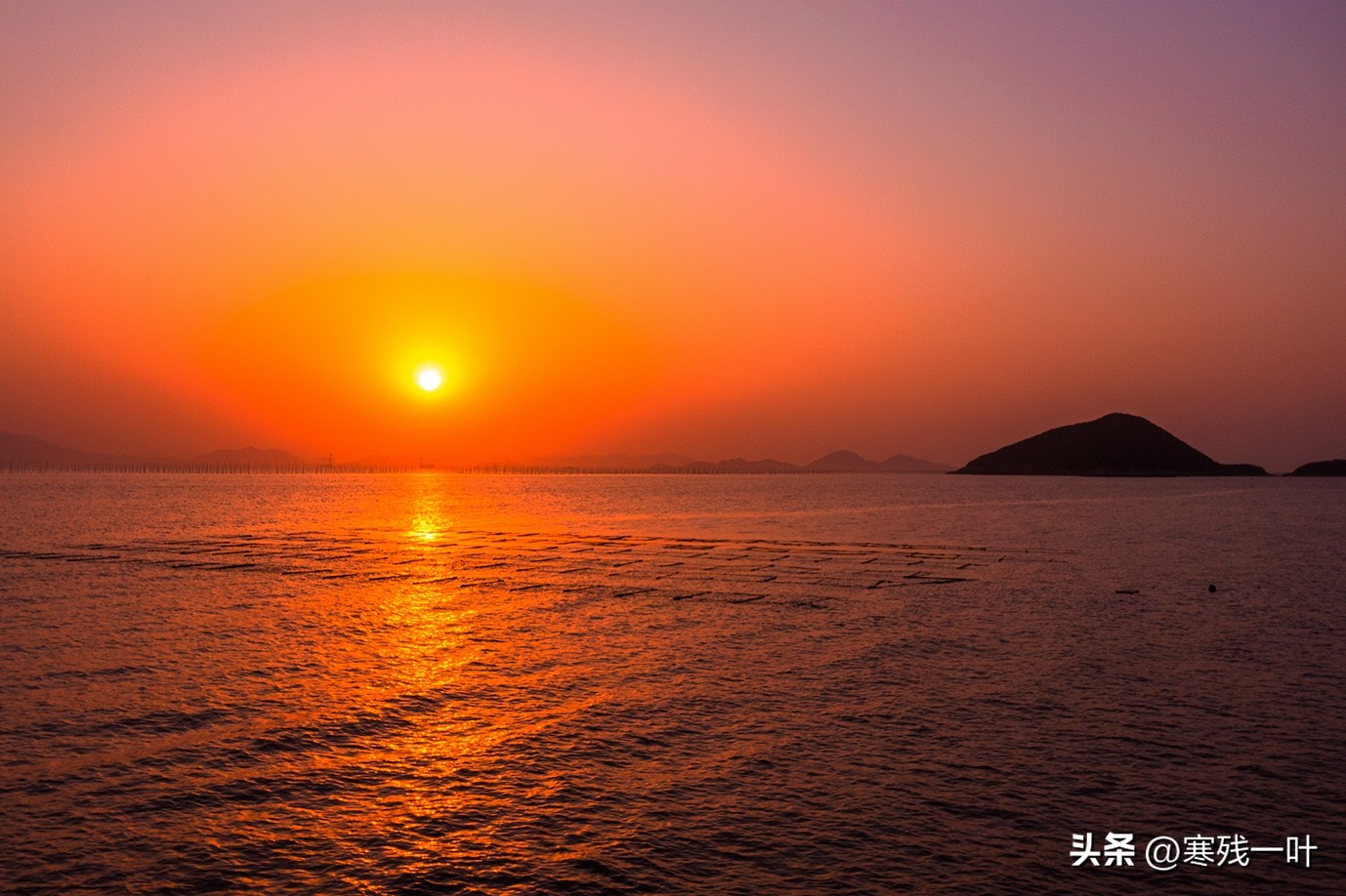 寻找浙江春季时令海鲜:川乌,为何普通的马鲛鱼,卖到一百块一斤(图2) 清明时节时令海鲜_象山川乌马鲛鱼_象山海鲜十八