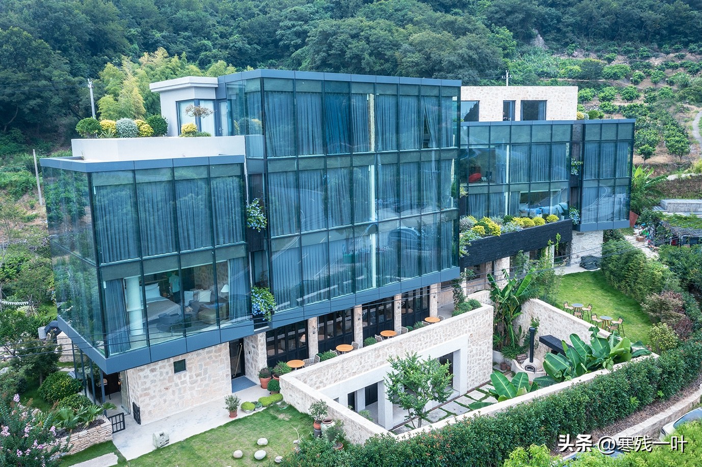 寻找浙江春季时令海鲜:川乌,为何普通的马鲛鱼,卖到一百块一斤(图12) 象山川乌马鲛鱼_象山海鲜十八_清明时节时令海鲜