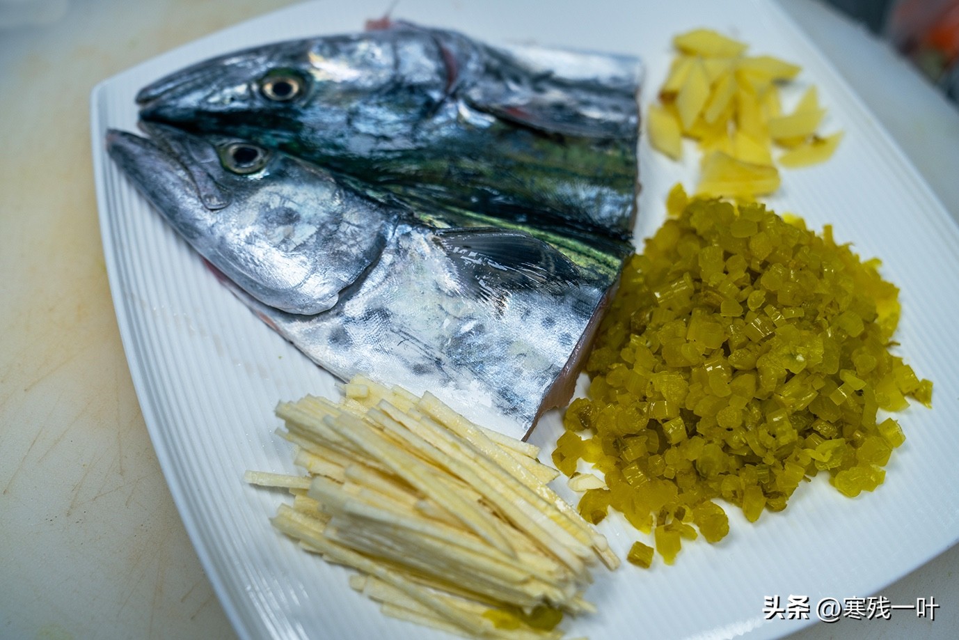 寻找浙江春季时令海鲜:川乌,为何普通的马鲛鱼,卖到一百块一斤(图13) 象山海鲜十八_象山川乌马鲛鱼_清明时节时令海鲜
