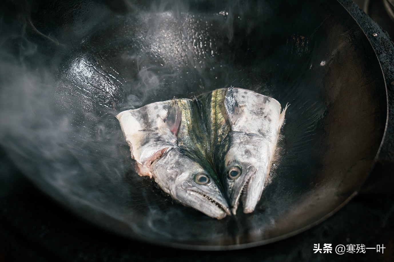 寻找浙江春季时令海鲜:川乌,为何普通的马鲛鱼,卖到一百块一斤(图14) 清明时节时令海鲜_象山海鲜十八_象山川乌马鲛鱼