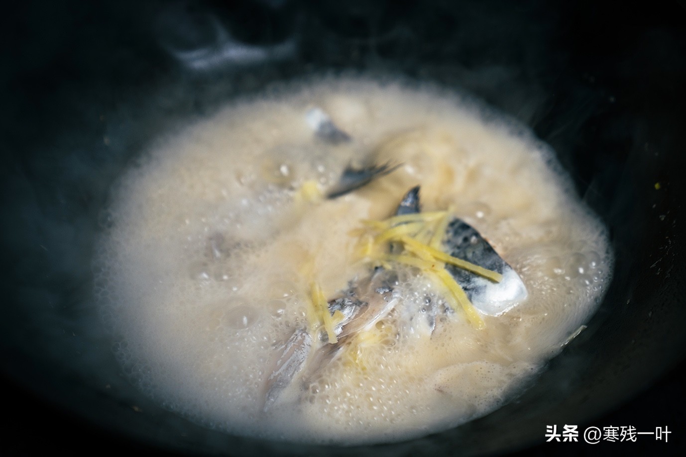 寻找浙江春季时令海鲜:川乌,为何普通的马鲛鱼,卖到一百块一斤(图15) 象山海鲜十八_象山川乌马鲛鱼_清明时节时令海鲜