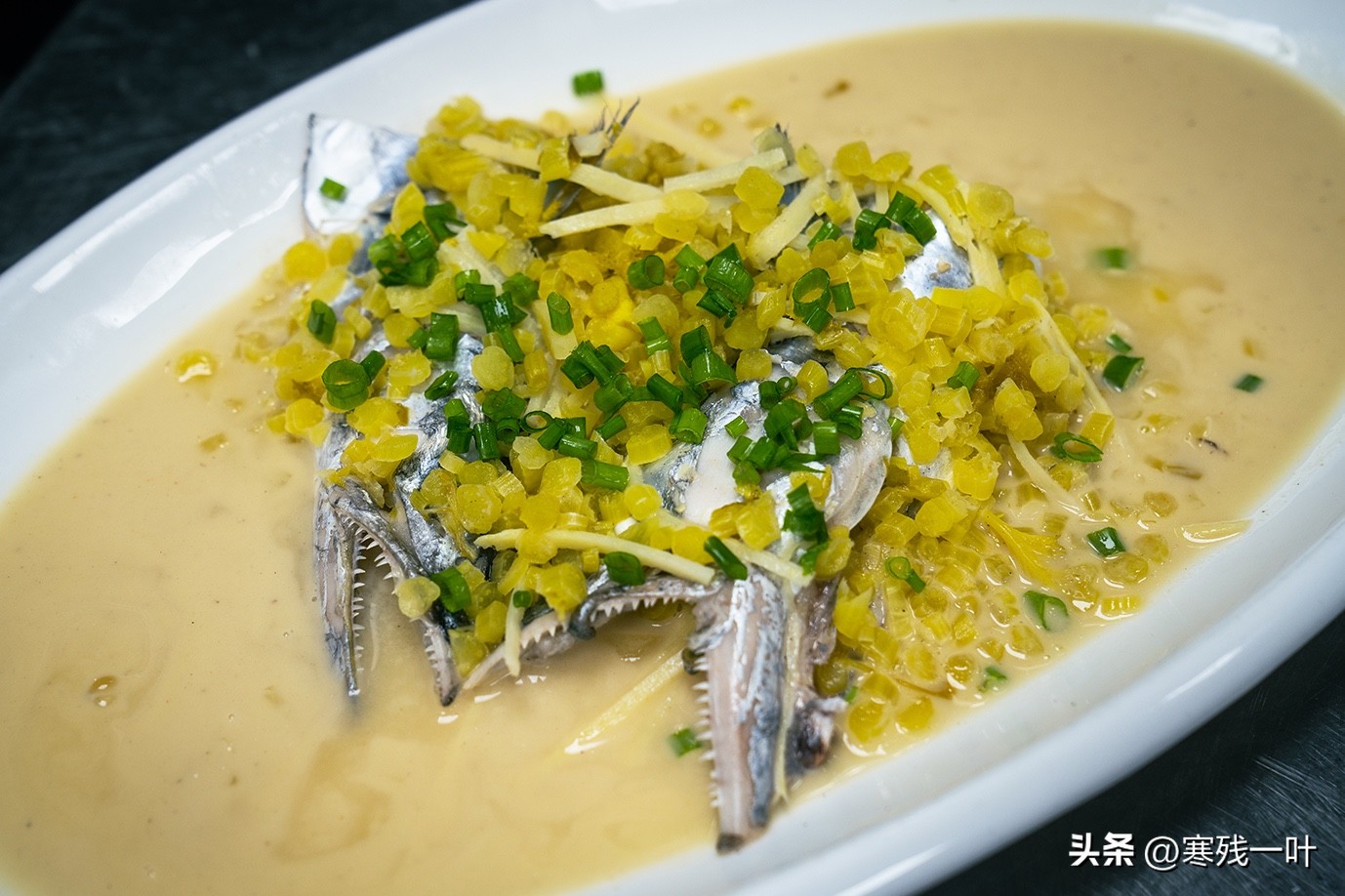 寻找浙江春季时令海鲜:川乌,为何普通的马鲛鱼,卖到一百块一斤(图16) 象山川乌马鲛鱼_清明时节时令海鲜_象山海鲜十八