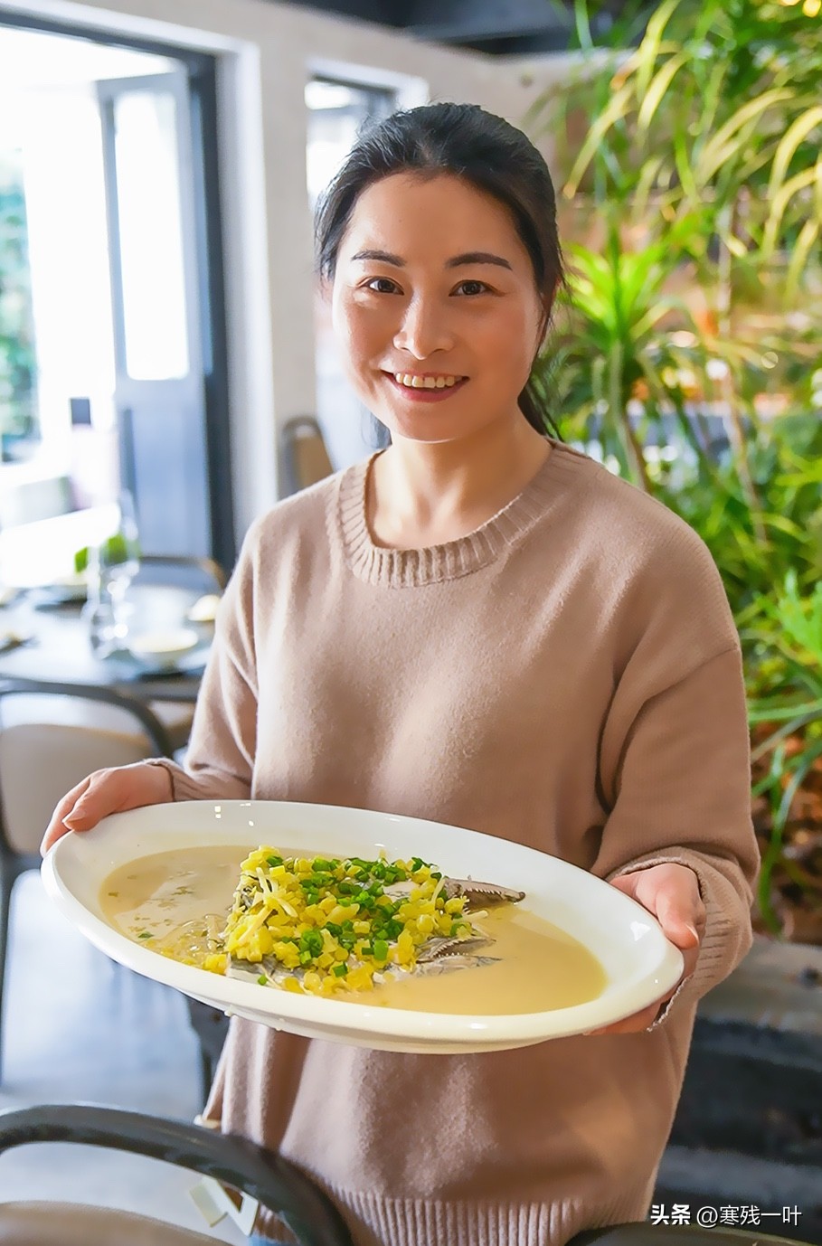 寻找浙江春季时令海鲜:川乌,为何普通的马鲛鱼,卖到一百块一斤(图17) 象山海鲜十八_清明时节时令海鲜_象山川乌马鲛鱼