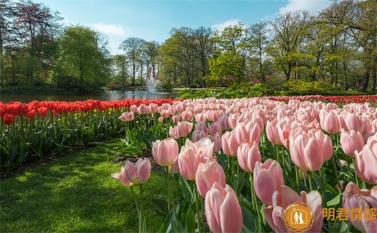 蚌埠小吃前十名排名,蚌埠美食推荐(图2) 蚌埠小吃前十名排名,蚌埠美食推荐