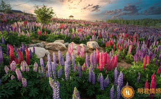 蚌埠小吃前十名排名,蚌埠美食推荐(图3) 蚌埠小吃前十名排名,蚌埠美食推荐