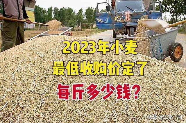 2023年小麦最低收购保护价格_最低收购价小麦收购费用是补贴收入吗_2023年水稻最低收购保护价格