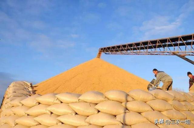 最低收购价小麦收购费用是补贴收入吗_2023年小麦最低收购保护价格_2023年水稻最低收购保护价格