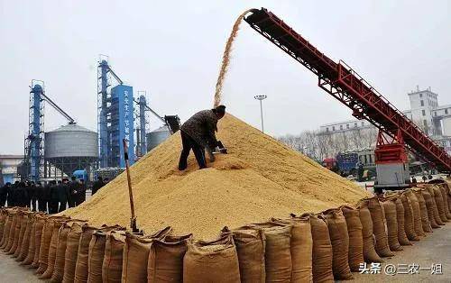 最低收购价小麦收购费用是补贴收入吗_2023年水稻最低收购保护价格_2023年小麦最低收购保护价格