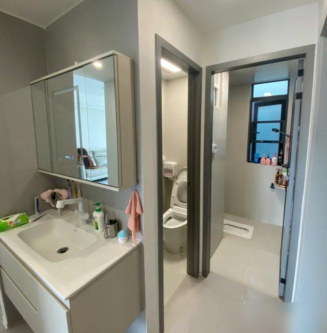 卫生间双卫改造_装修浴室效果图_悬空卫浴清洁神器