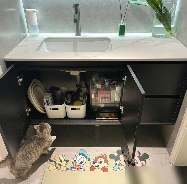 卫生间双卫改造_悬空卫浴清洁神器_装修浴室效果图