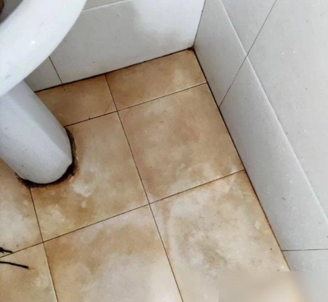 卫生间双卫改造_悬空卫浴清洁神器_装修浴室效果图