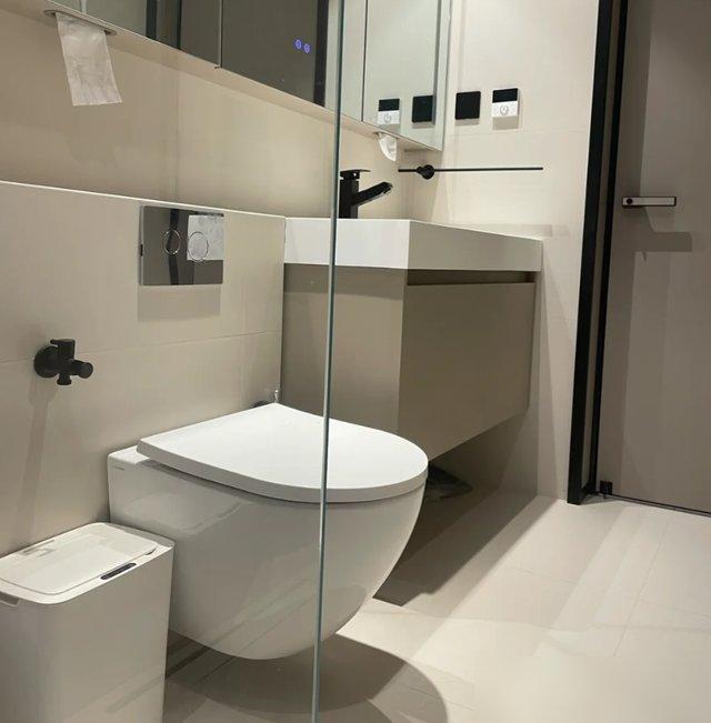 卫生间双卫改造_装修浴室效果图_悬空卫浴清洁神器