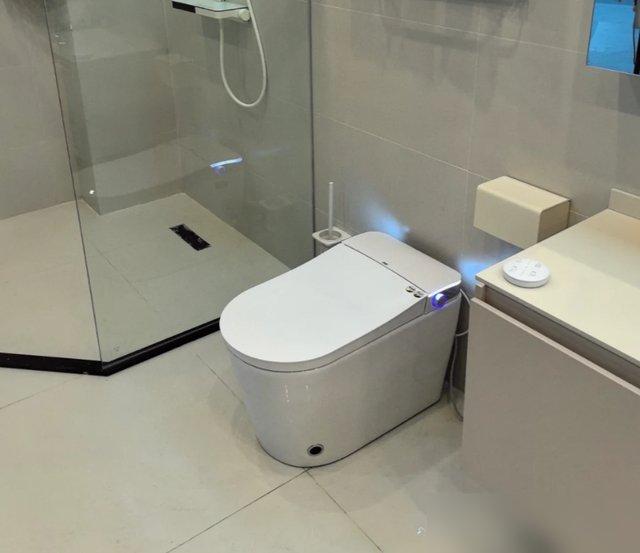 悬空卫浴清洁神器_卫生间双卫改造_装修浴室效果图