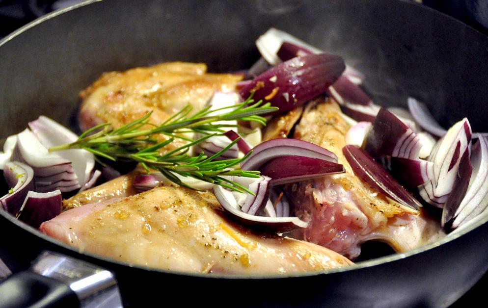 披萨草是什么东西_莳萝草披萨草迷迭香百里香用法区别