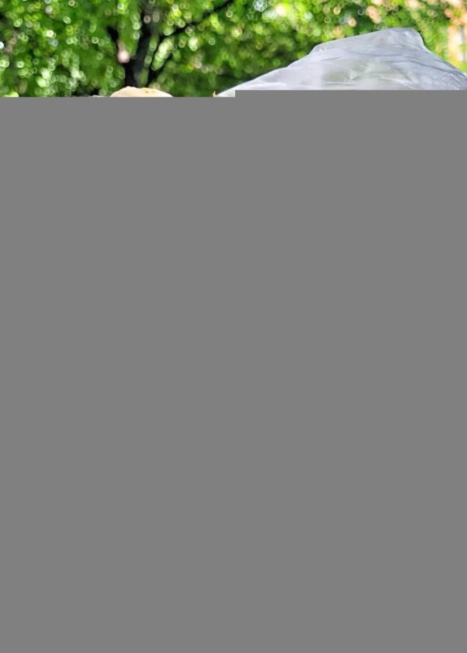 舌尖上海丨30种沪上经典小吃,你吃过几种?熟悉的味道最深入人心(图3) 上海糕团美食_上海的小吃特产有哪些_上海特色小吃