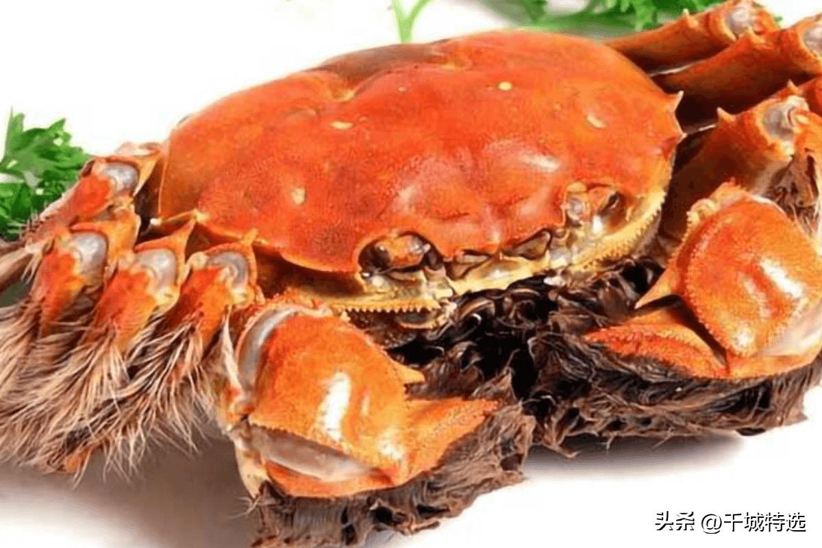 上海的小吃特产有哪些_上海梨膏糖_上海高桥松饼