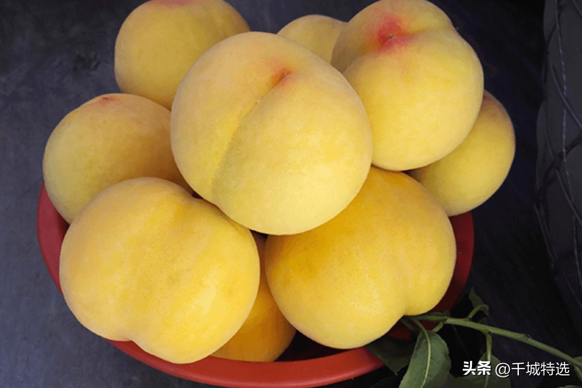 上海梨膏糖_上海高桥松饼_上海的小吃特产有哪些