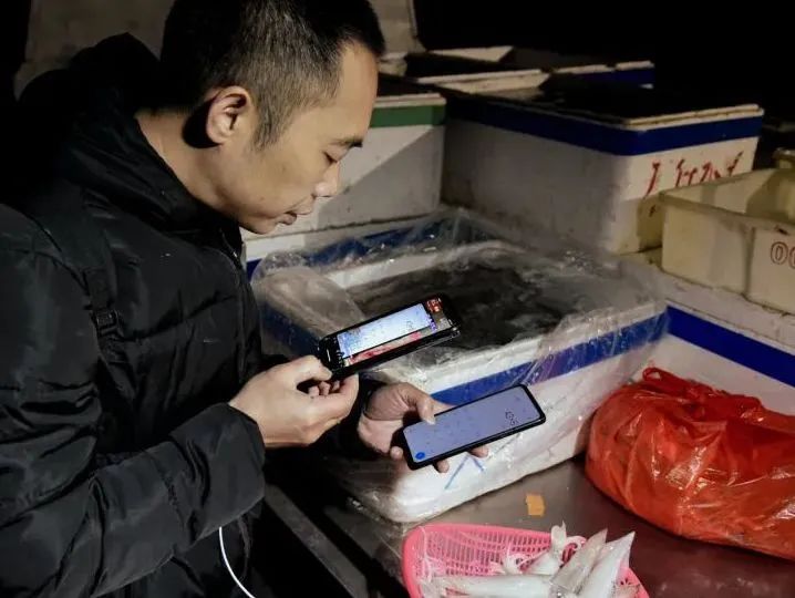 2025北部湾开海节活动攻略_防城港北海钦州开海节盛况_海滩烧烤活动方案