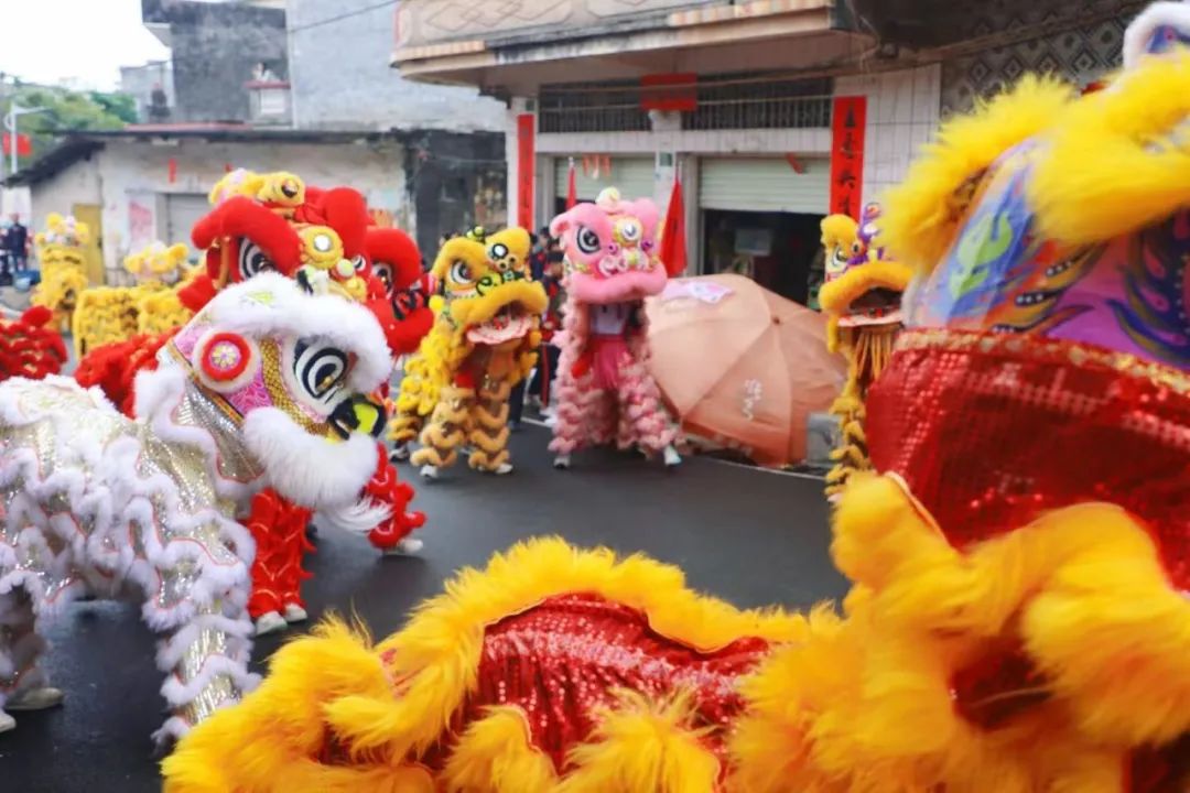 2025北部湾开海节活动攻略_海滩烧烤活动方案_防城港北海钦州开海节盛况