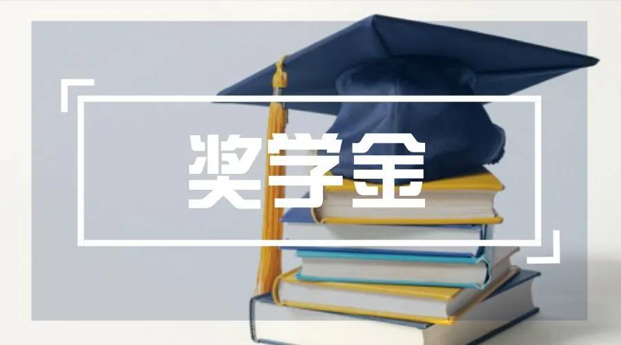 少花钱甚至不花钱留学攻略_美国留学奖学金种类及申请攻略_美国留学生 购物 退税