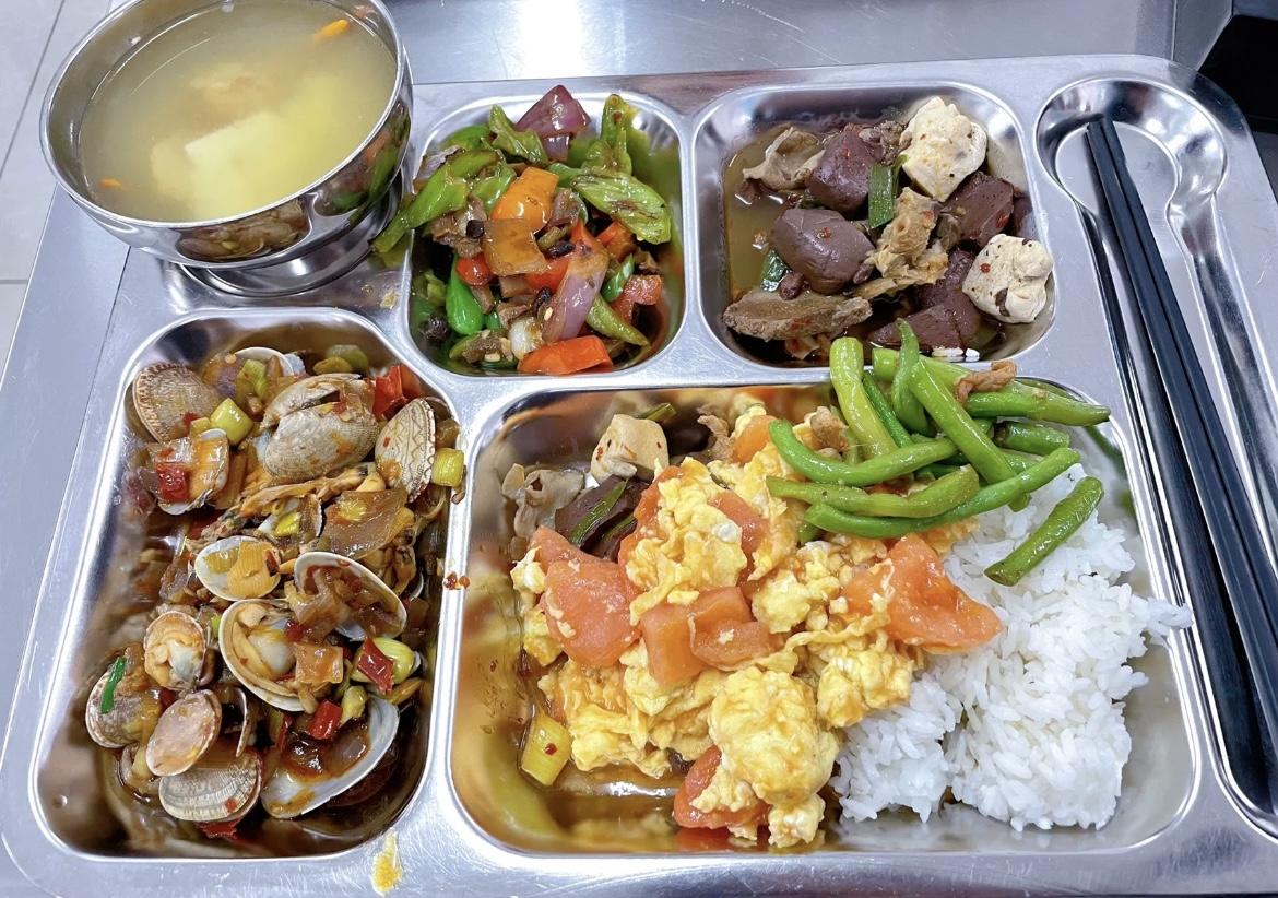 考公攻略_大三如何备考公务员_考驾照费用新规定2025