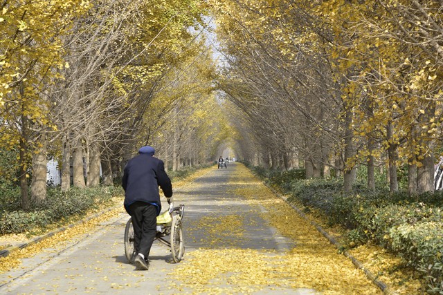 保姆工作_家庭养老院_石家庄保姆多少钱