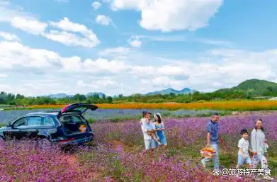 宿迁美食推荐_宿迁特产零食_宿迁特色小吃攻略