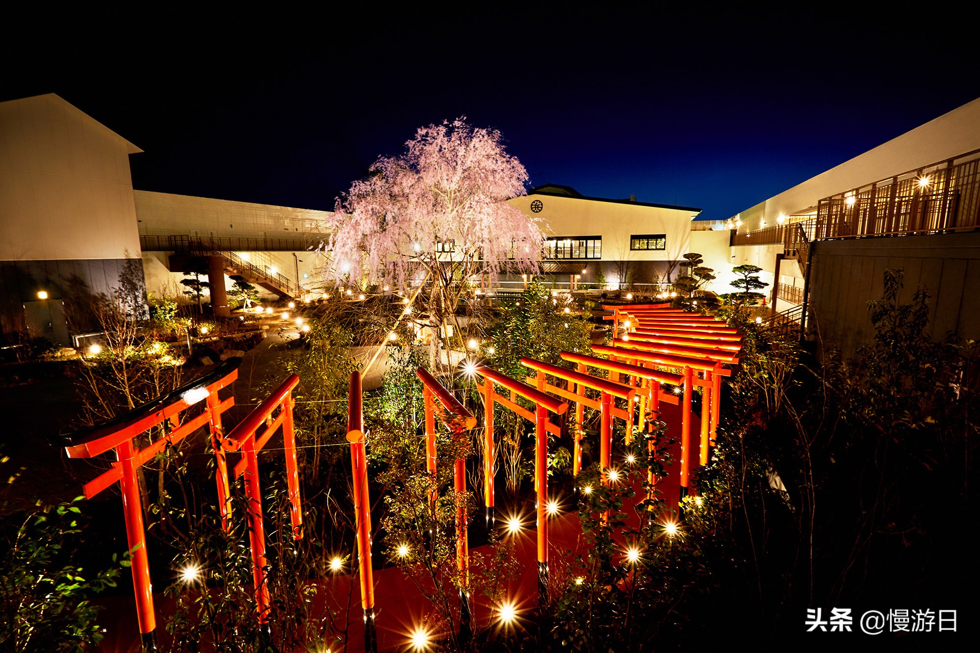 大阪城公园美食_日本环球影城任天堂园区_大阪新景点
