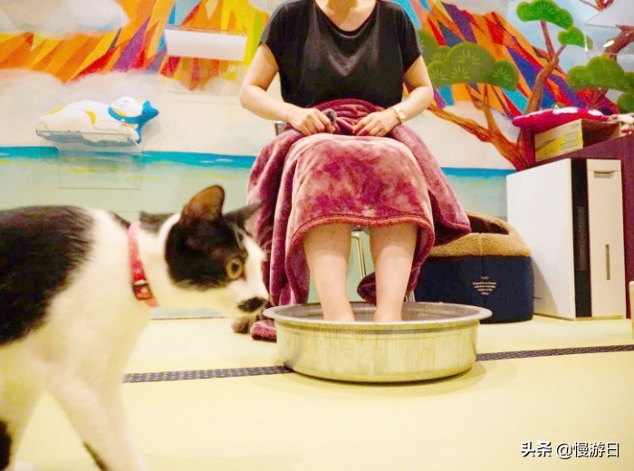 日本环球影城任天堂园区_大阪城公园美食_大阪新景点