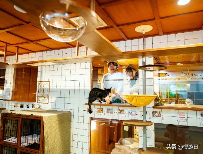 大阪城公园美食_日本环球影城任天堂园区_大阪新景点