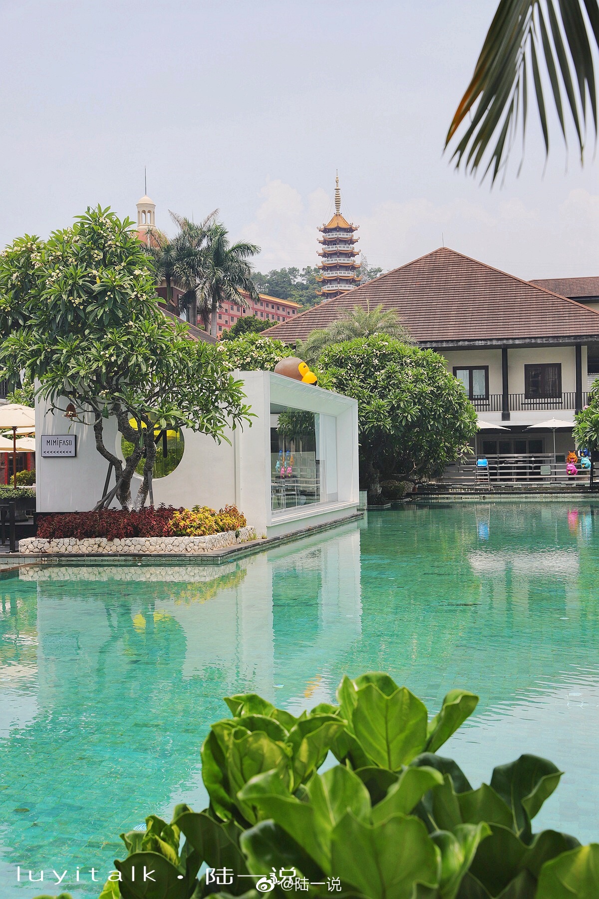厦门最好吃的烤肉_厦门最好吃的蒜泥白肉_厦门香辣会川菜馆推荐