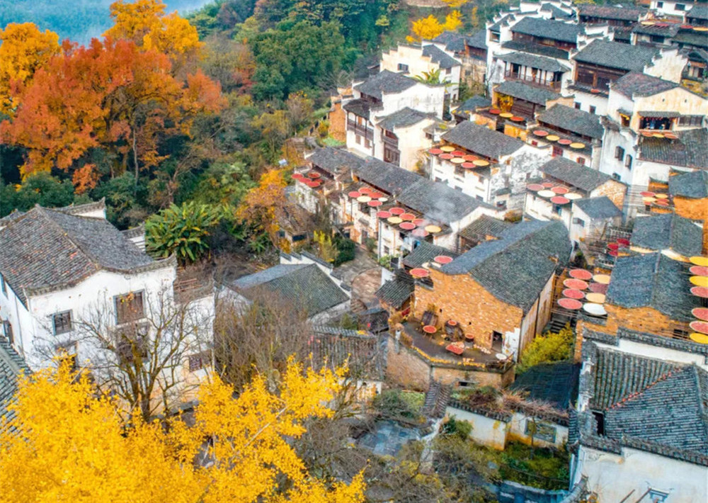 景德镇瓷器历史_景德镇毛仔小吃_景德镇陶瓷博物馆御窑博物馆