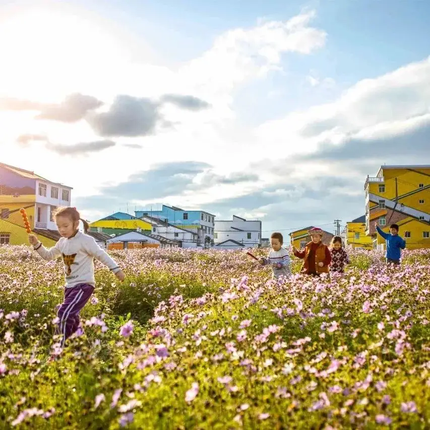 台州豆腐做法_台州豆腐制作技艺_仙居特色小吃