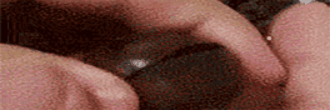 快手营养菜谱推荐_家常菜食谱大全_平菇炒肉食材