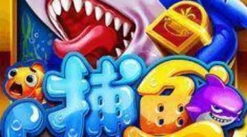 食材搭配创新方法_丰富餐桌美食秘籍_平菇炒肉食材