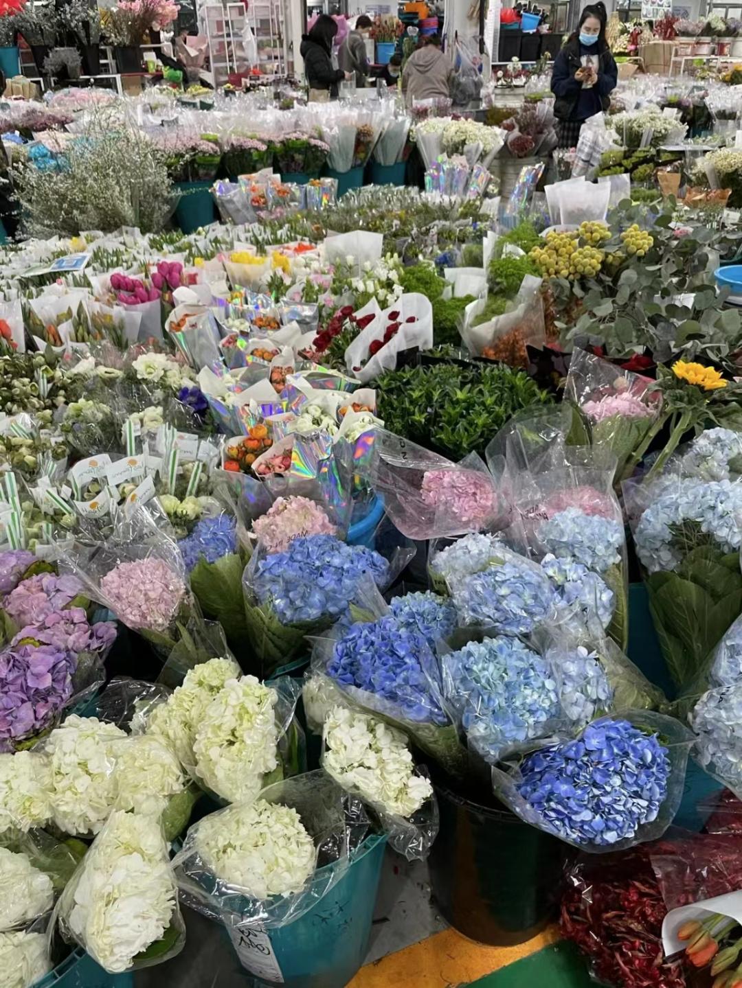 北京合美渔都批发中心_北京哪买海鲜便宜_北京新发地市场精品水果交易区