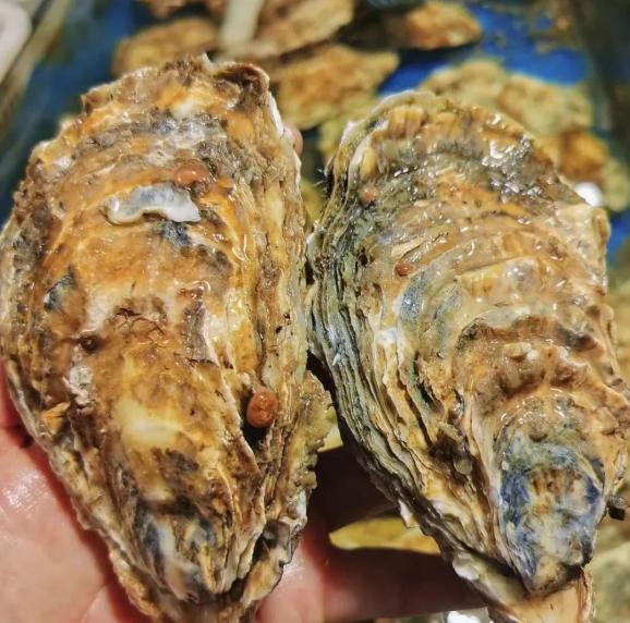 北京新发地市场精品水果交易区_北京合美渔都批发中心_北京哪买海鲜便宜