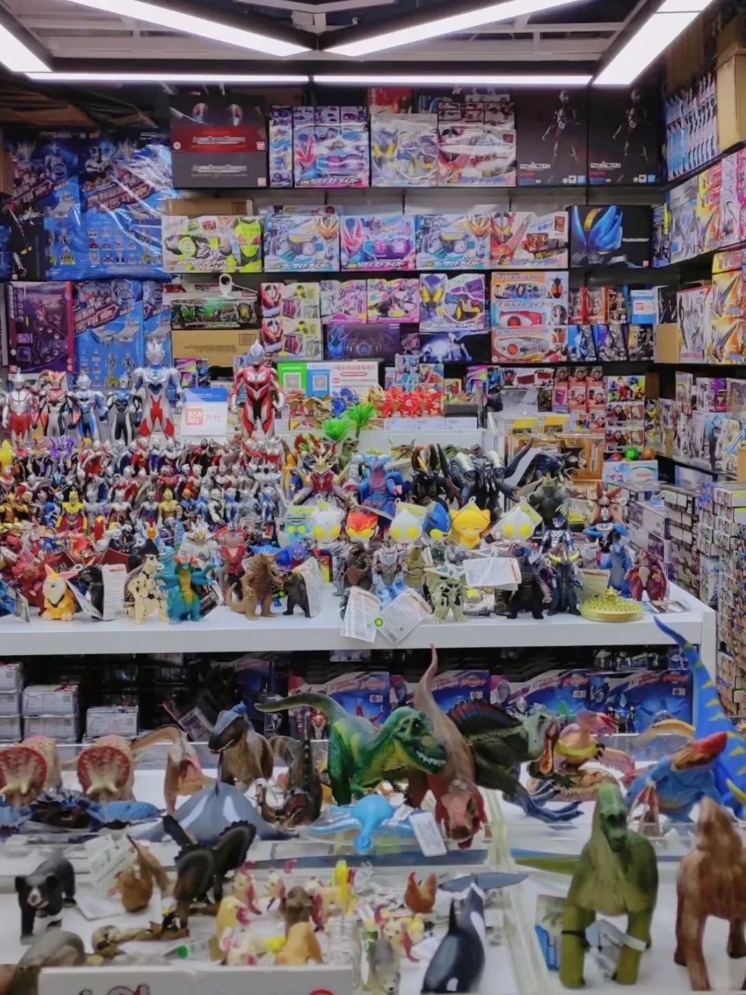 北京新发地市场精品水果交易区_北京哪买海鲜便宜_北京合美渔都批发中心