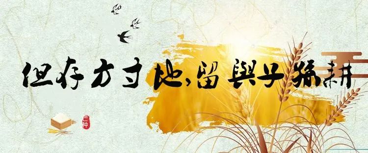 童年回忆杀零食_80后怀旧零食_小时候吃的零食老鼠屎