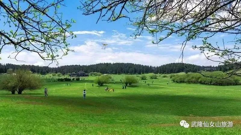 重庆必去景点攻略_重庆旅游景点推荐_重庆云阳哪家烤鱼好吃