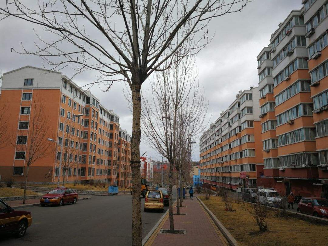 辽宁阜新56平米2万套房子_辽宁阜新二手房价格低_辽宁省阜新市人圴收入