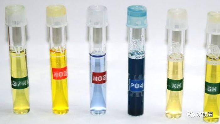 食土鲷品种介绍_红颊马面食土鲷_食土鲷饲养指南