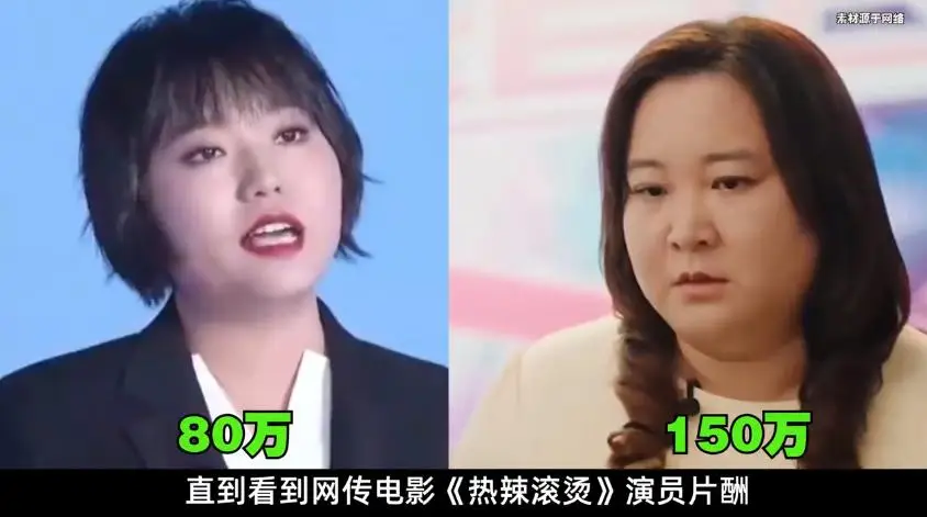 贾玲片酬分析_好莱坞明星收入排行榜_好莱坞明星片酬榜