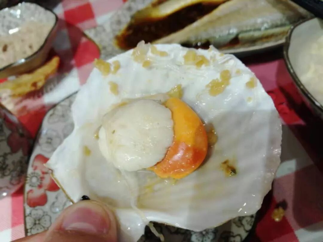 蛤蜊种类与烹饪方法_适合做菜的蛤蜊特点_贝壳类海鲜怎么吃