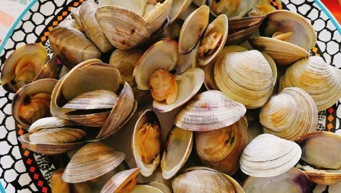 蛤蜊种类与烹饪方法_适合做菜的蛤蜊特点_贝壳类海鲜怎么吃