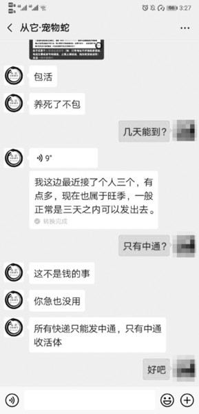 网购活体动物_绿瘦蛇价格_活体蛇线下销售