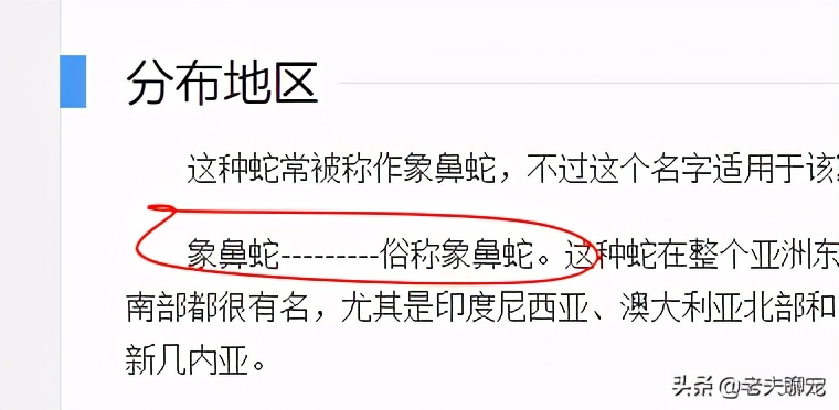 奇特蛇类_绿瘦蛇价格_藤蛇介绍
