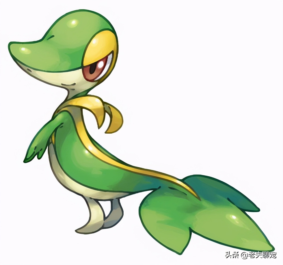 藤蛇介绍_绿瘦蛇价格_奇特蛇类