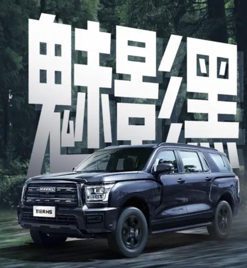 哈弗h5四驱价位_2025款哈弗H5上市_哈弗H5黑化设计